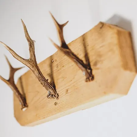 Badia By We Rent * زيل أم سي