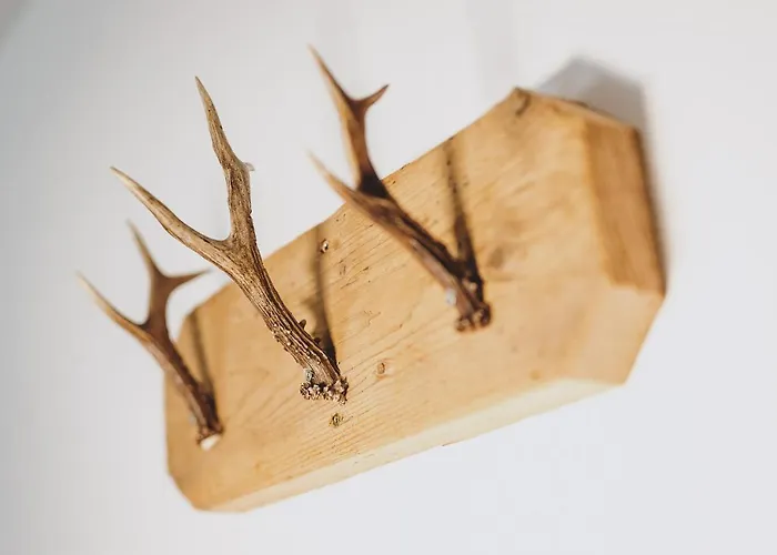 Badia By We Rent, Summercard Included * Zell am See